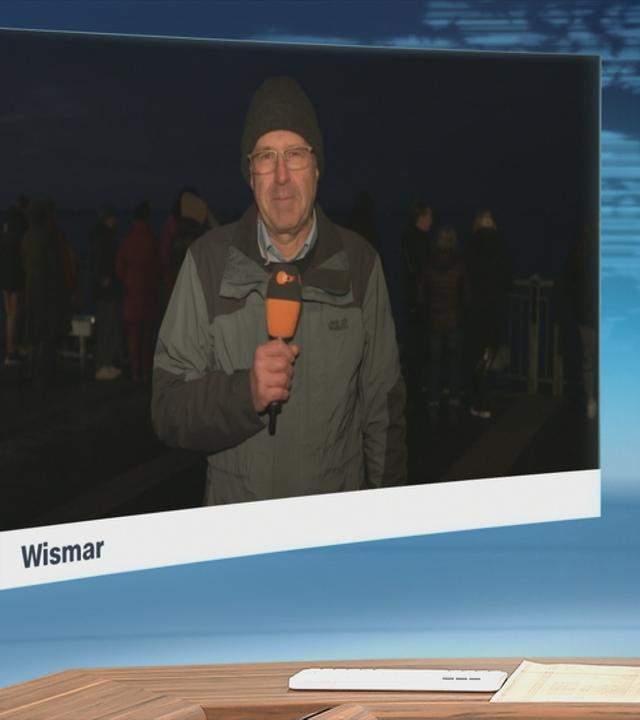 Der erst gestern befreite Wal ist erneut gestrandt.