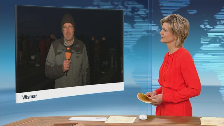 Der erst gestern befreite Wal ist erneut gestrandt.