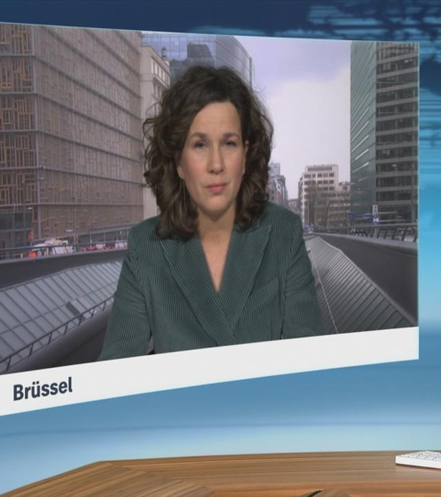 Mit einer knappen Mehrheit hat das Europäische Parlament beschlossen, das Mercosur-Abkommen dem Europäischen Gerichtshof vorzulegen. Isabelle Schaefers berichtet.