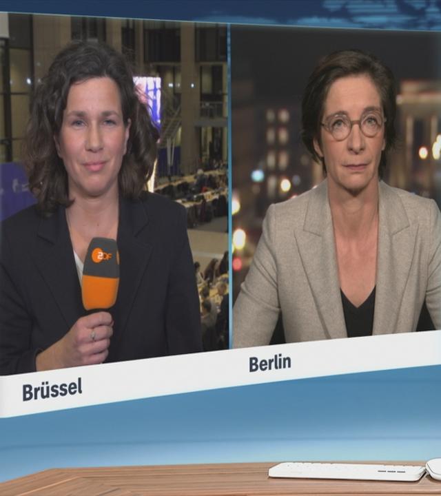 SGS Schaefers Zimmermann 