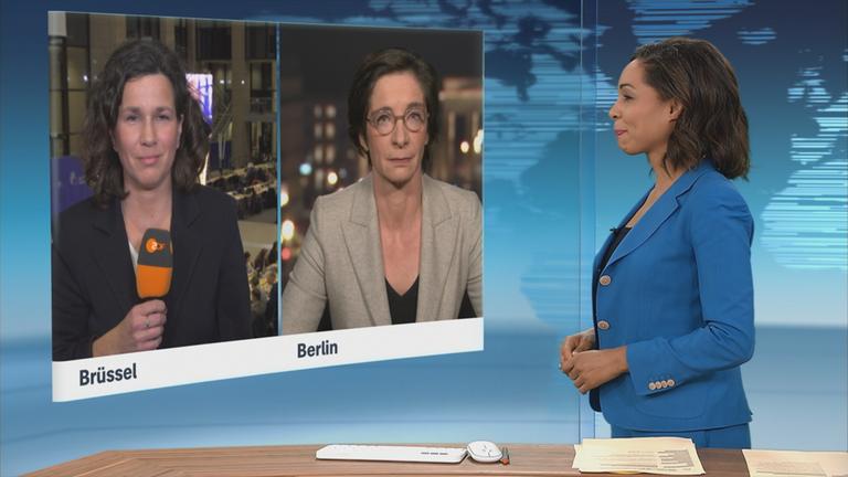 SGS Schaefers Zimmermann 