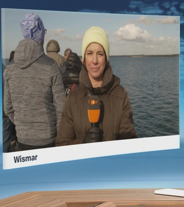 Die Überlebenschancen des Buckelwals werden immer geringer, sagen Experten.