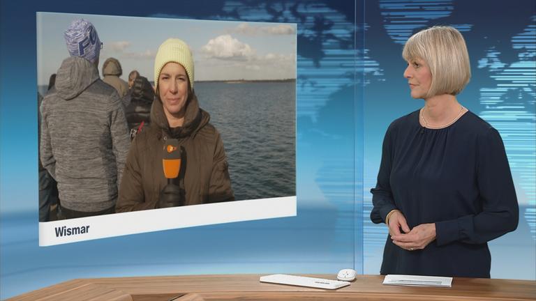 Die Überlebenschancen des Buckelwals werden immer geringer, sagen Experten.