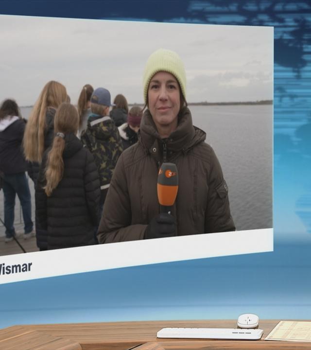 Laut Experten ist der Buckelwal deutlich schwächer als gestern.