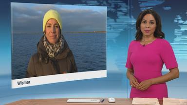 ZDF-Korrespondentin Anne Stadtfeld fasst die aktuelle Lage zusammen.