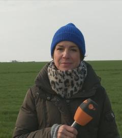 ZDF-Korrespondentin Anne Stadtfeld ist auf der Insel Poel zu sehen.