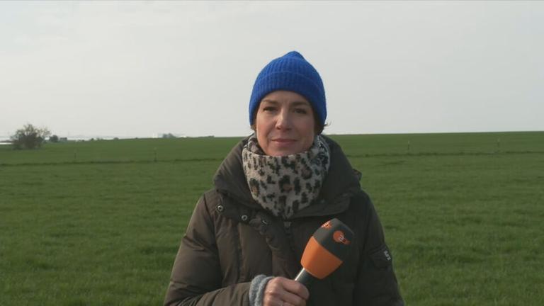 ZDF-Korrespondentin Anne Stadtfeld ist auf der Insel Poel zu sehen.