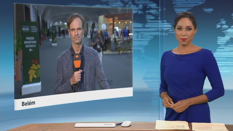 ZDF-Korrespondent Wulf Schmiese