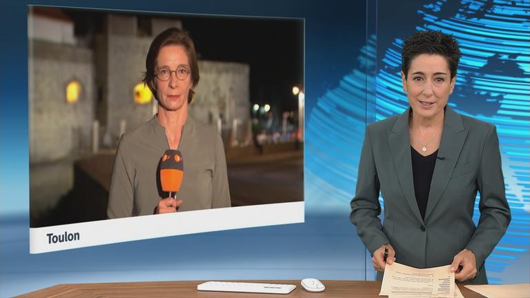 sgs-hayali-zimmermann