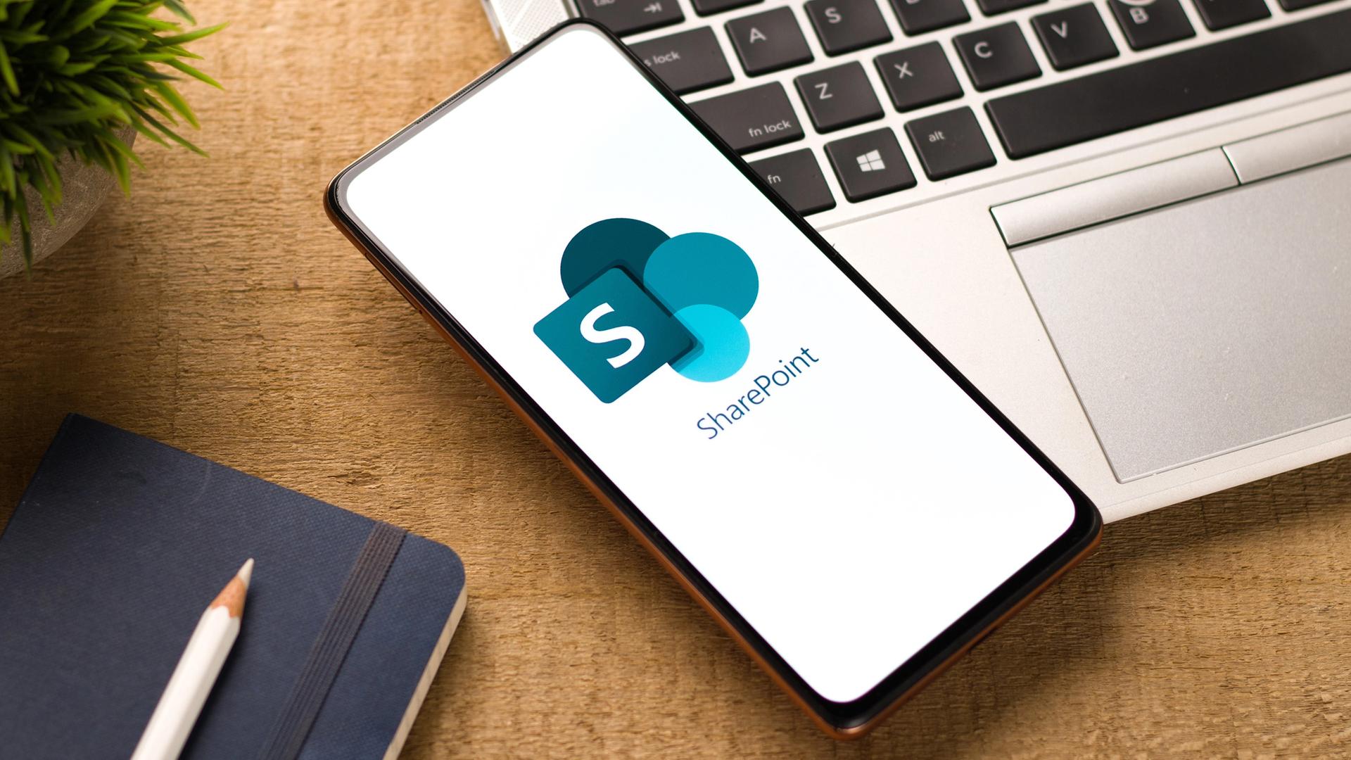 Logo des Software Programms Microsoft Share Point.