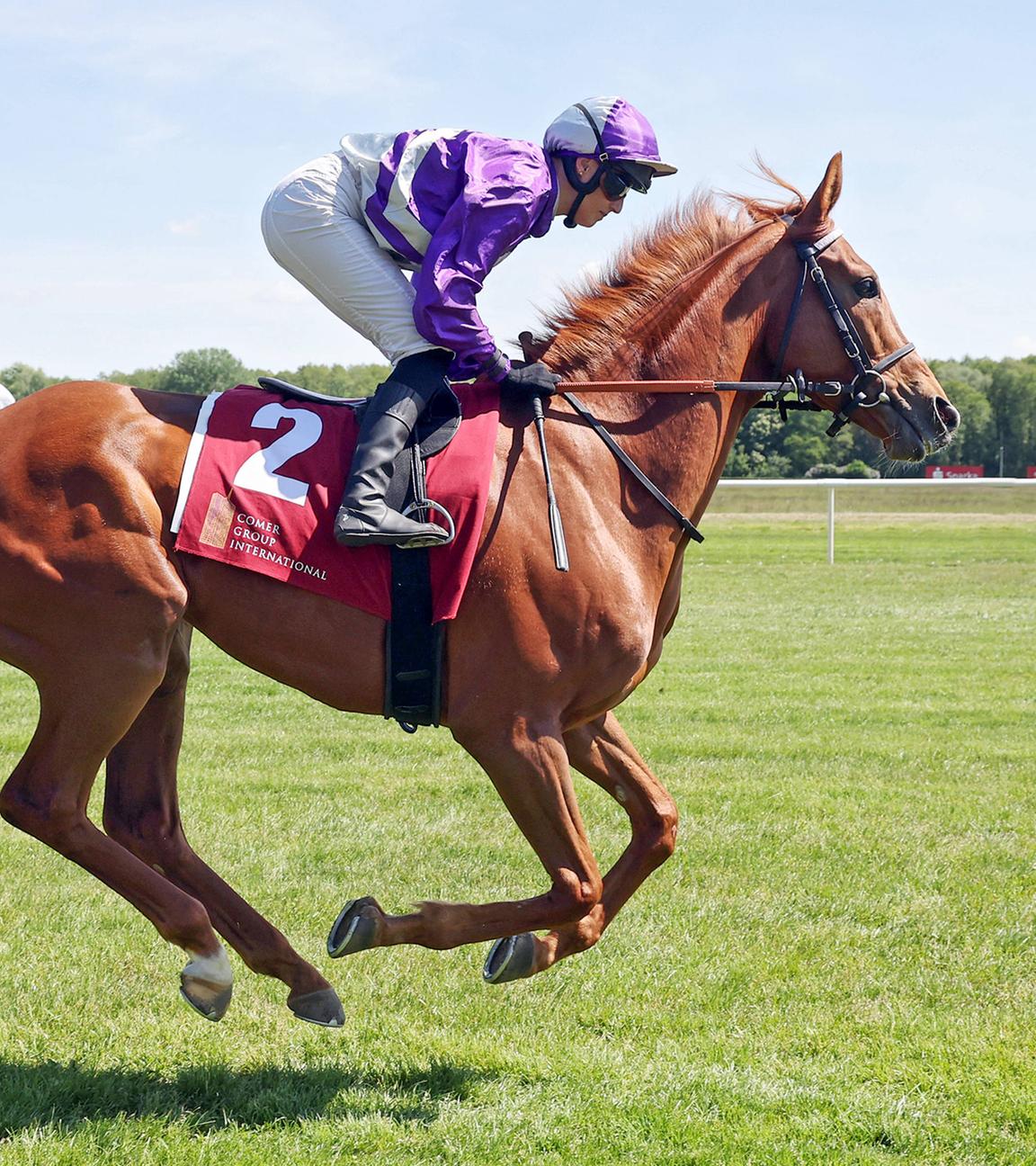 Alpenjaeger mit Sibylle Vogt beim Aufgalopp. 