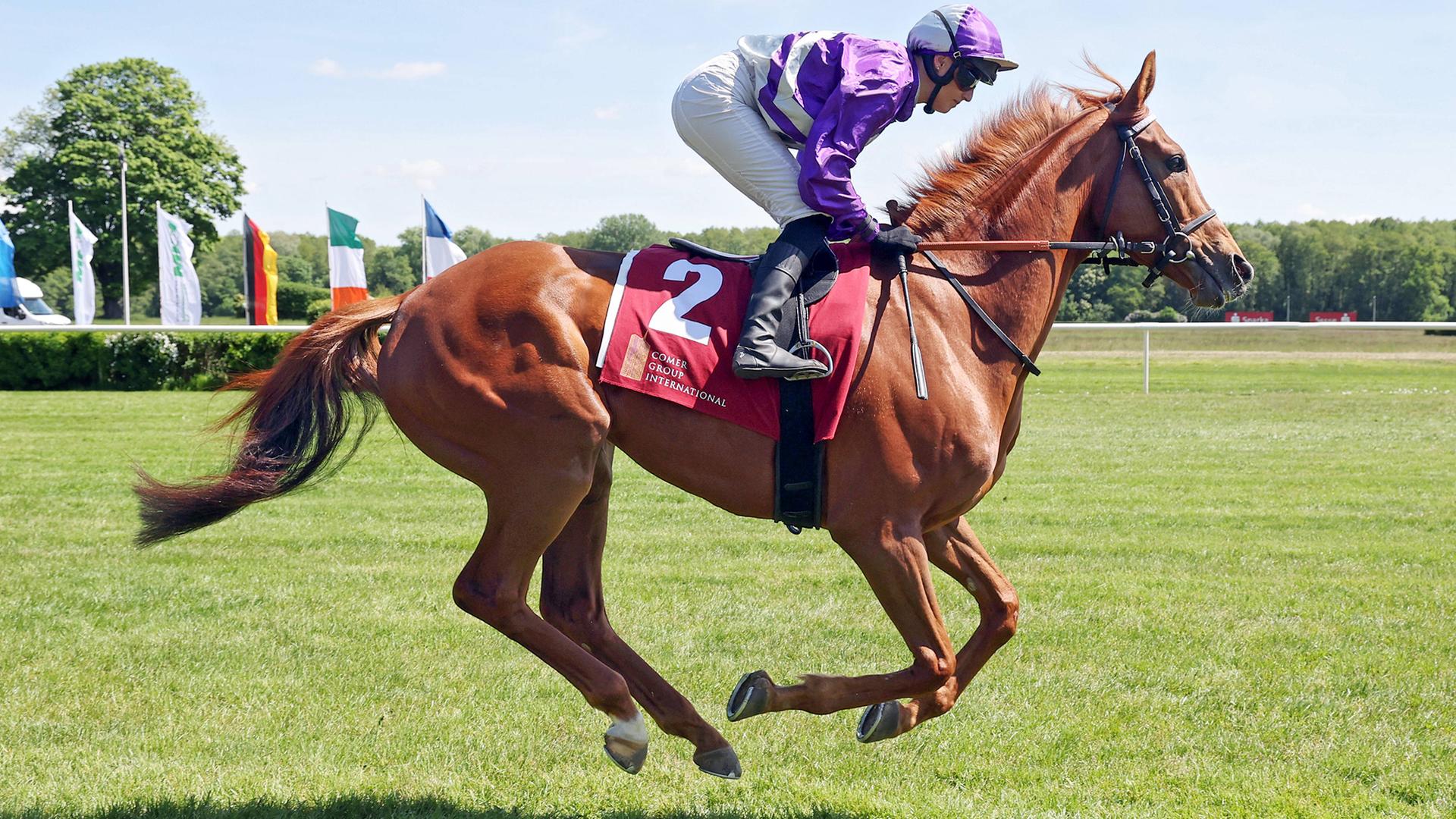 Alpenjaeger mit Sibylle Vogt beim Aufgalopp. 