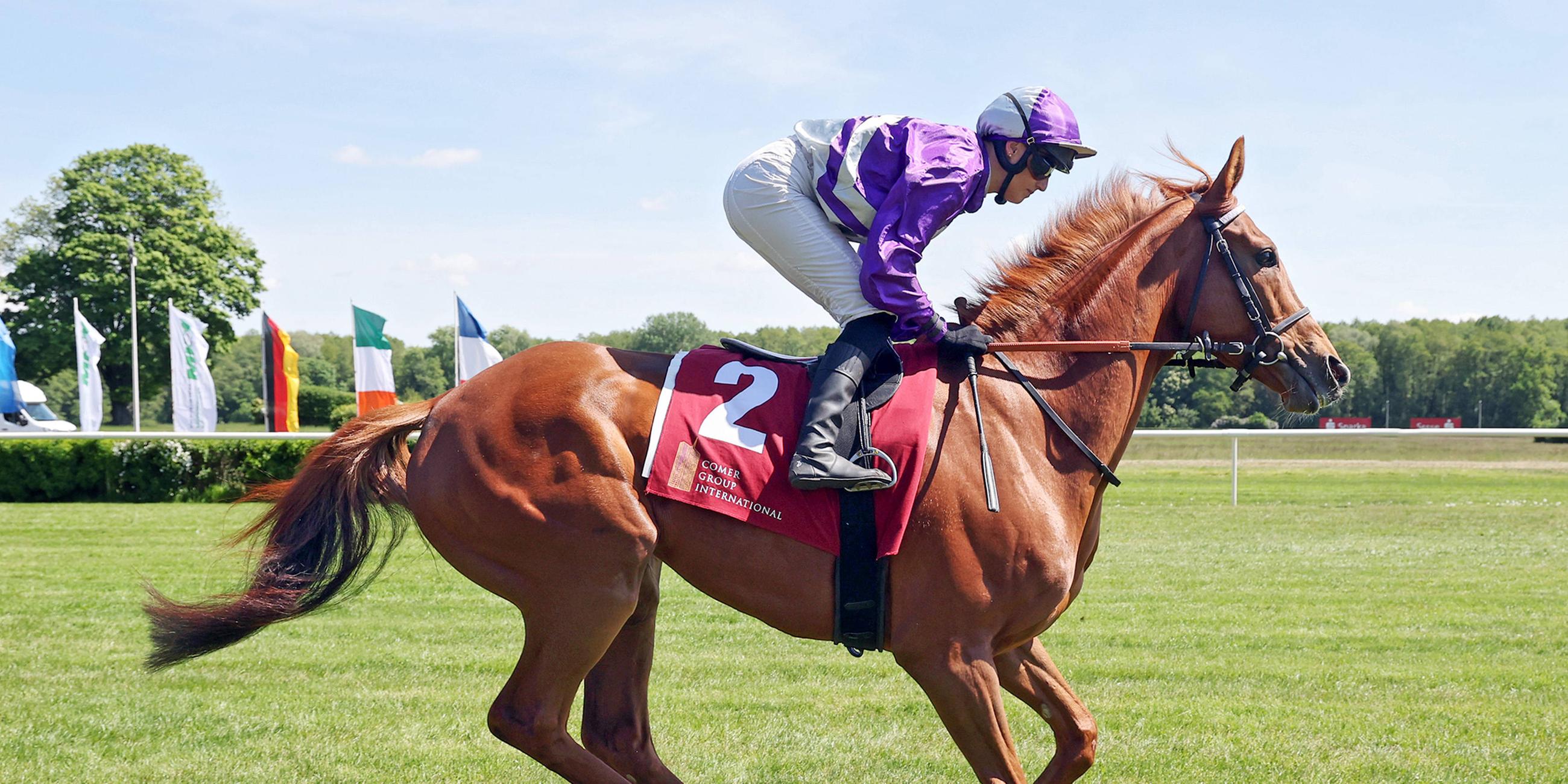 Alpenjaeger mit Sibylle Vogt beim Aufgalopp. 