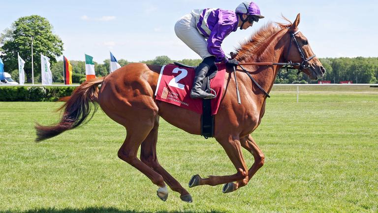 Alpenjaeger mit Sibylle Vogt beim Aufgalopp. 
