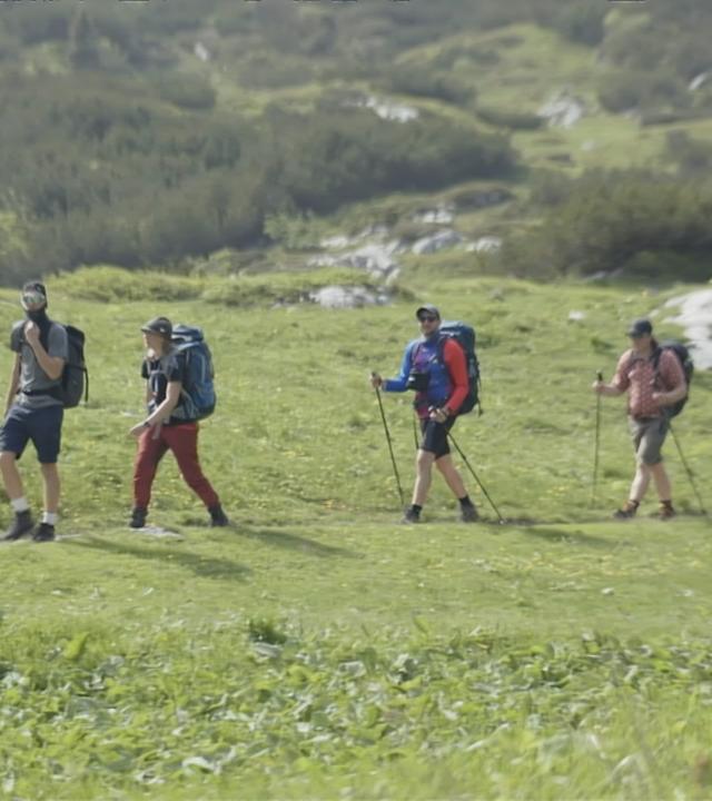 Vier Personen in der Natur am wandern 