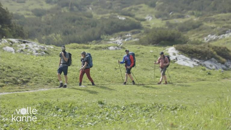 Vier Personen in der Natur am wandern 