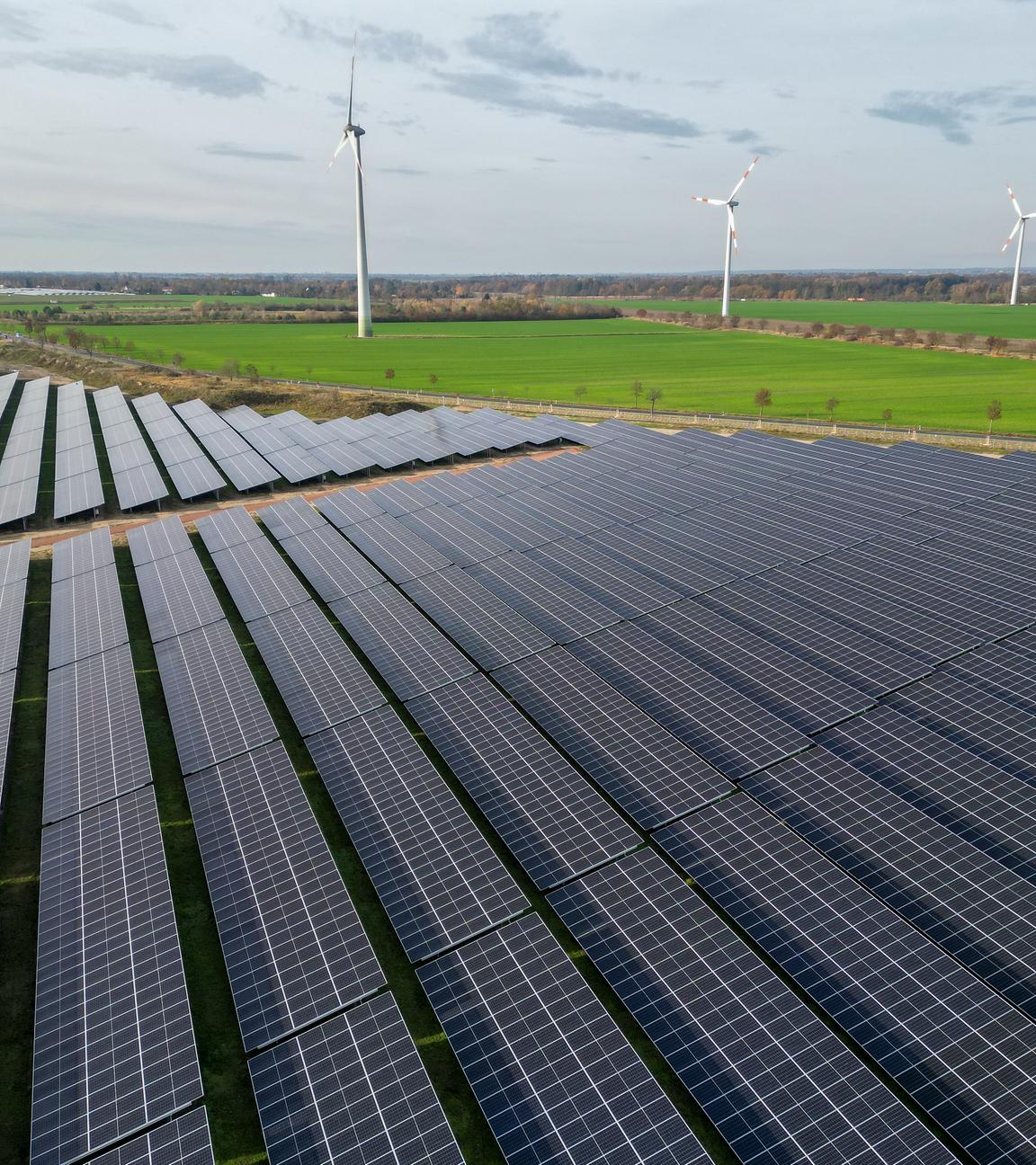 Ein großer Solarpark in Sachsen-Anhalt.