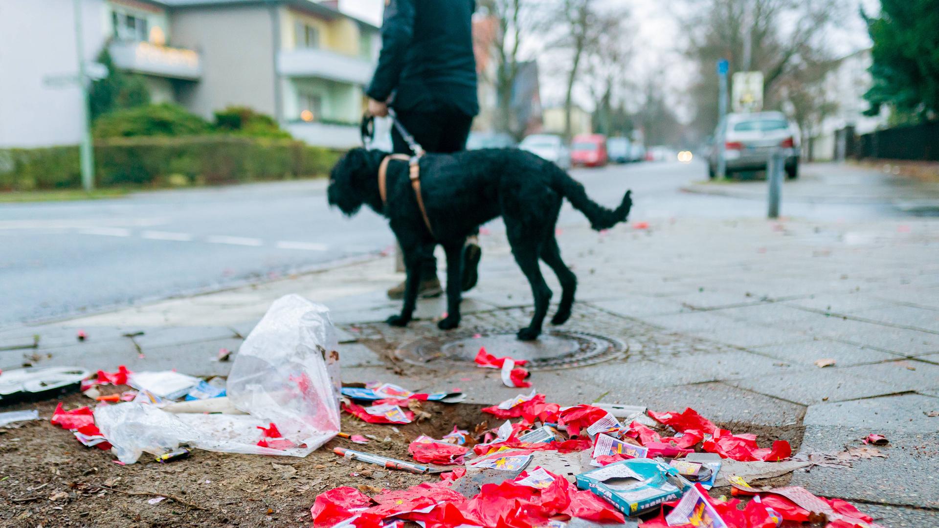 Mann geht mit Hund Gassi vorbei an abgebrannten Silvesterraketen