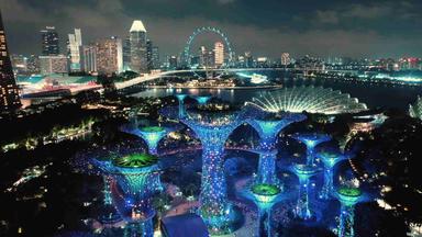 Die solarbetriebenen "Supertrees" in Singapur: Künstliche Bäume, die in der Nacht aufwändig in Szene gesetzt werden.