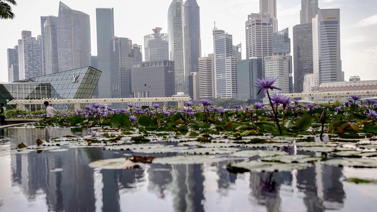 Singapurs Skyline gespiegelt in einem Lotusteich