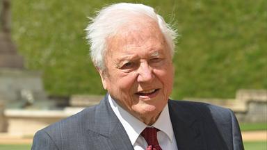 Sir David Attenborough