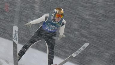 Skispringen