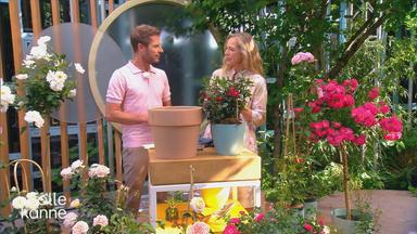 Anja Konezen im "Volle Kanne"-Artrium mit Moderator Florian Weiss.
