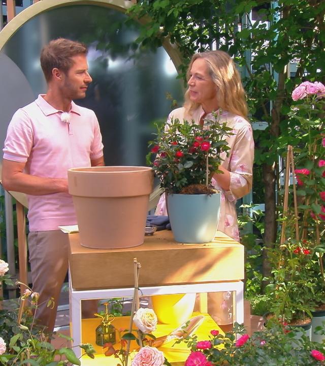 Anja Konezen im "Volle Kanne"-Artrium mit Moderator Florian Weiss.