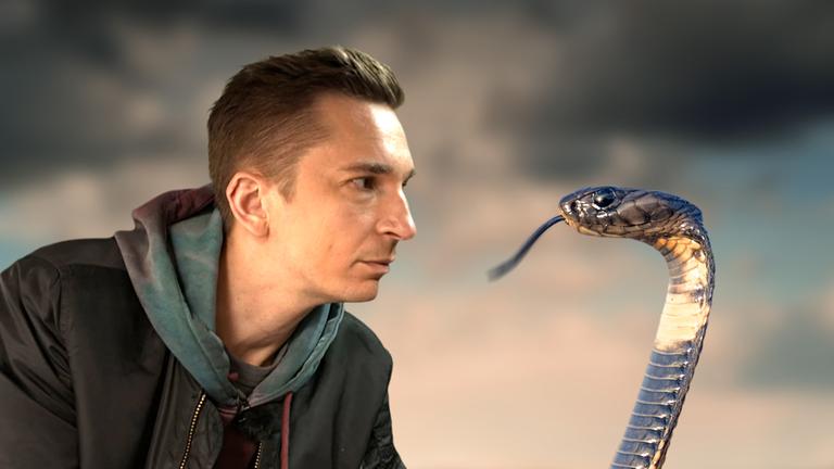 So töten Schlangen ihre Beute