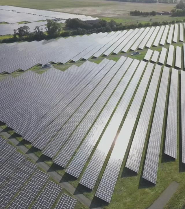 Feld mit zahlreichen Solaranlagen.