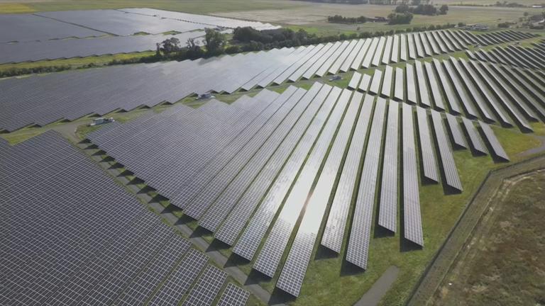 Feld mit zahlreichen Solaranlagen.