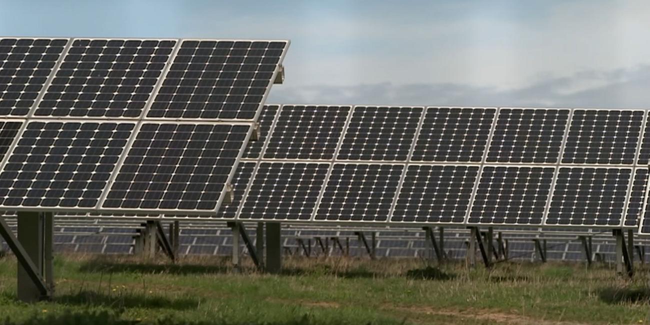 Solarbranche