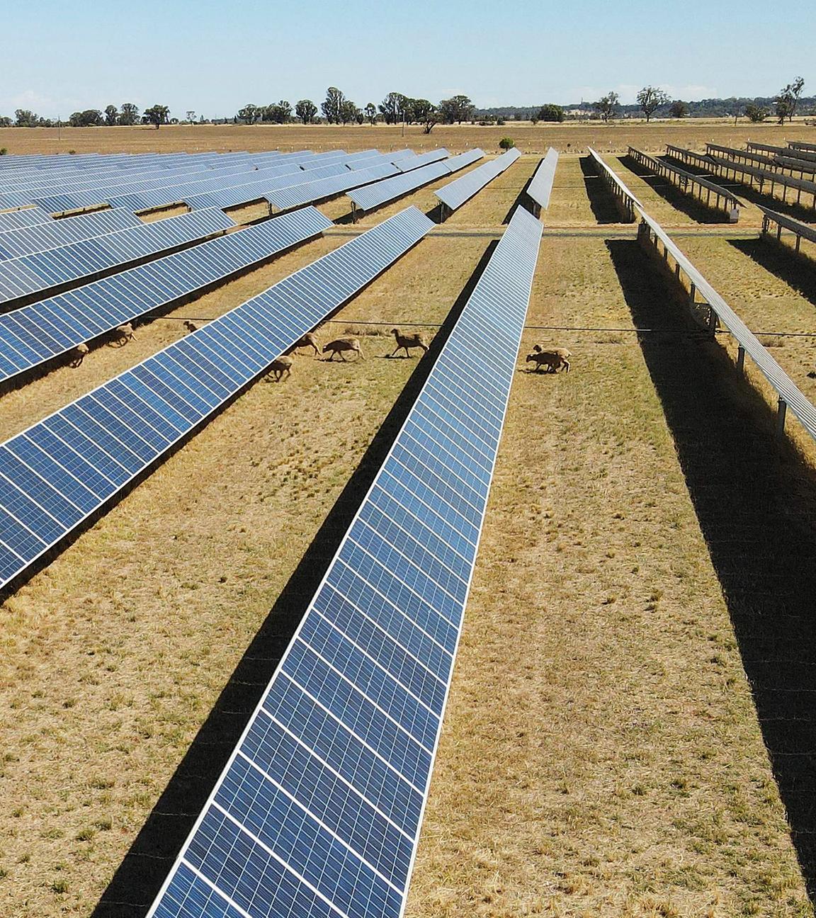 Solarpark am Stadtrand von Dubbo, etwa 400 Kilometer westlich von Sydney, aufgenommen am 19.01.2026