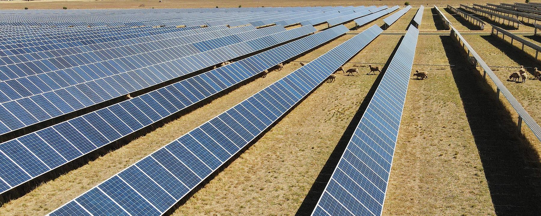 Solarpark am Stadtrand von Dubbo, etwa 400 Kilometer westlich von Sydney, aufgenommen am 19.01.2026