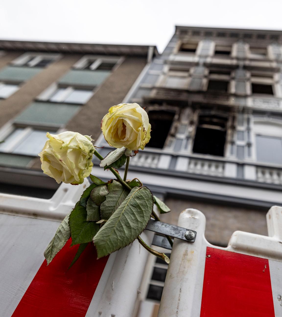 Eine weiße Rose an einer Absperrbake vor dem Brandort in Solingen.