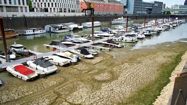 Blick auf das teilweise ausgetrocknete Flussbett des Rheins.