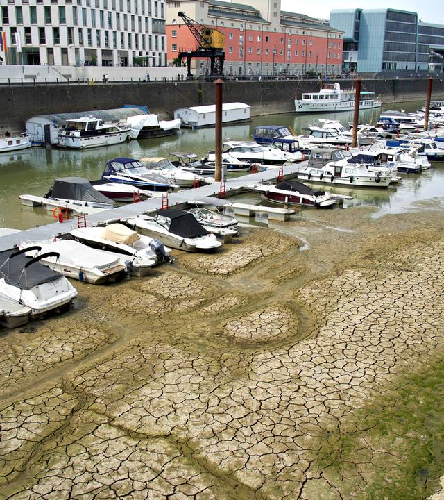 Blick auf das teilweise ausgetrocknete Flussbett des Rheins.