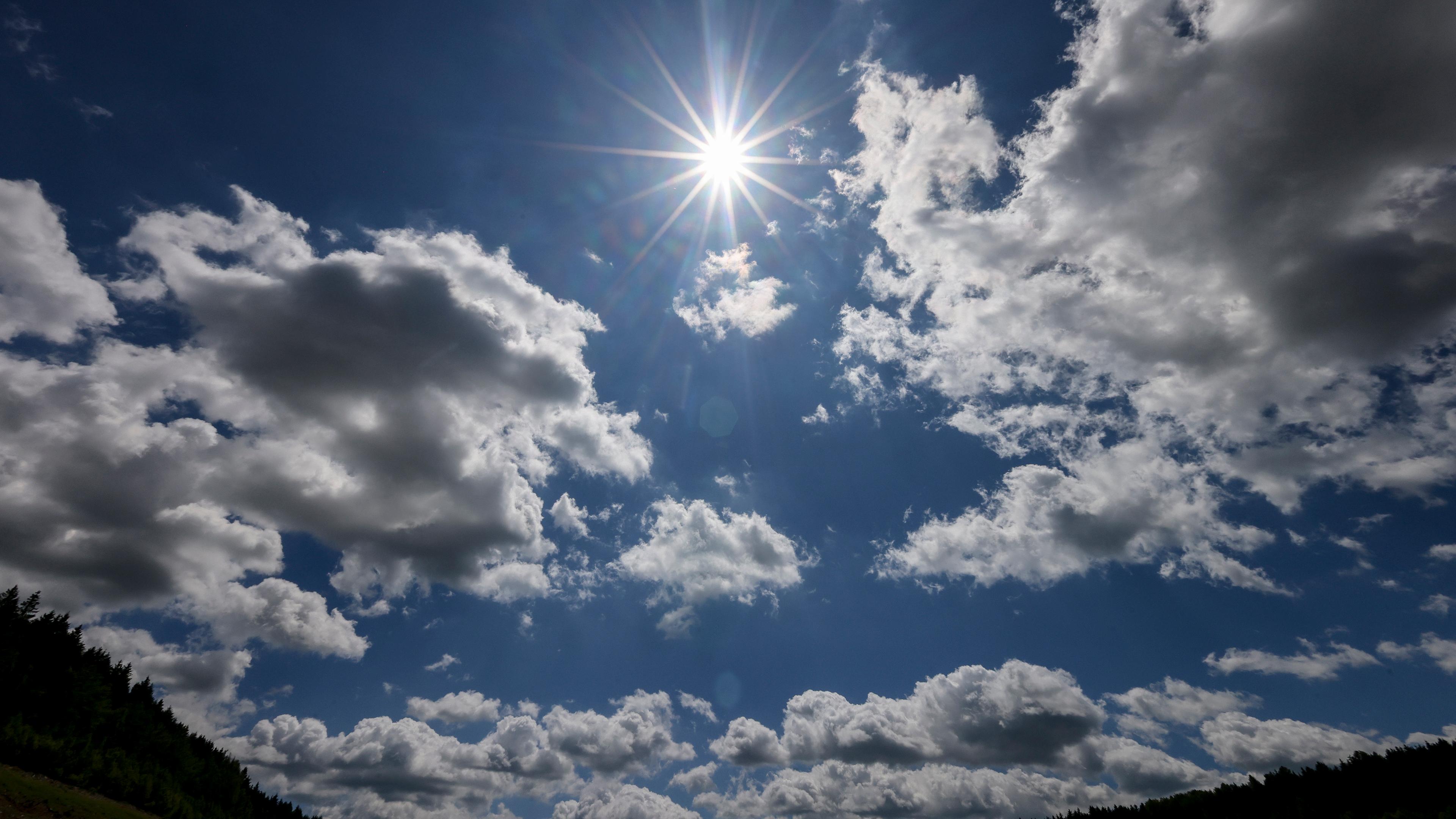 Sommerhitze in Sachsen