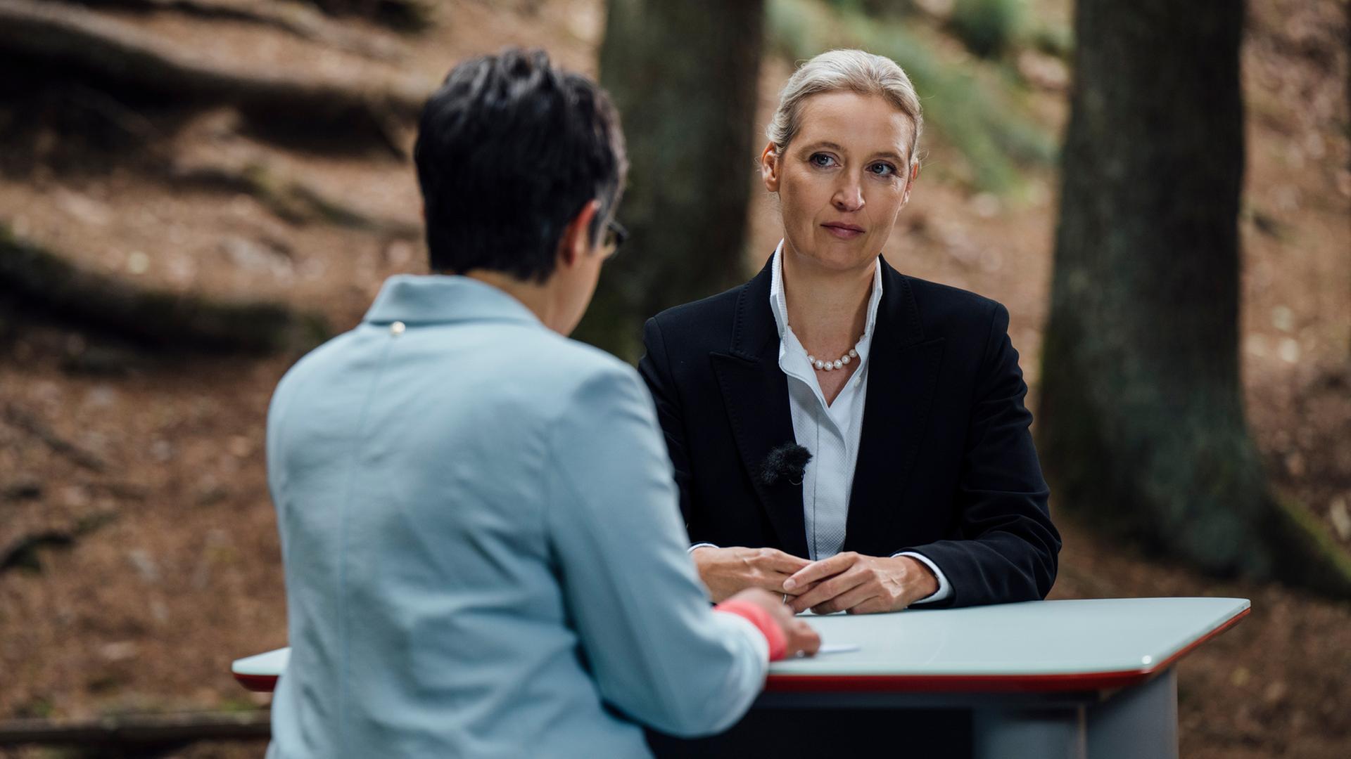 Alice Weidel