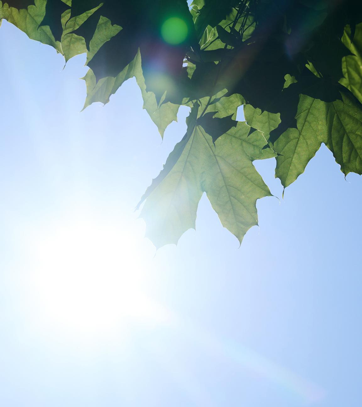 Schon am frühen Morgen scheint die Sonne von einem nahezu wolkenlosen Himmel
