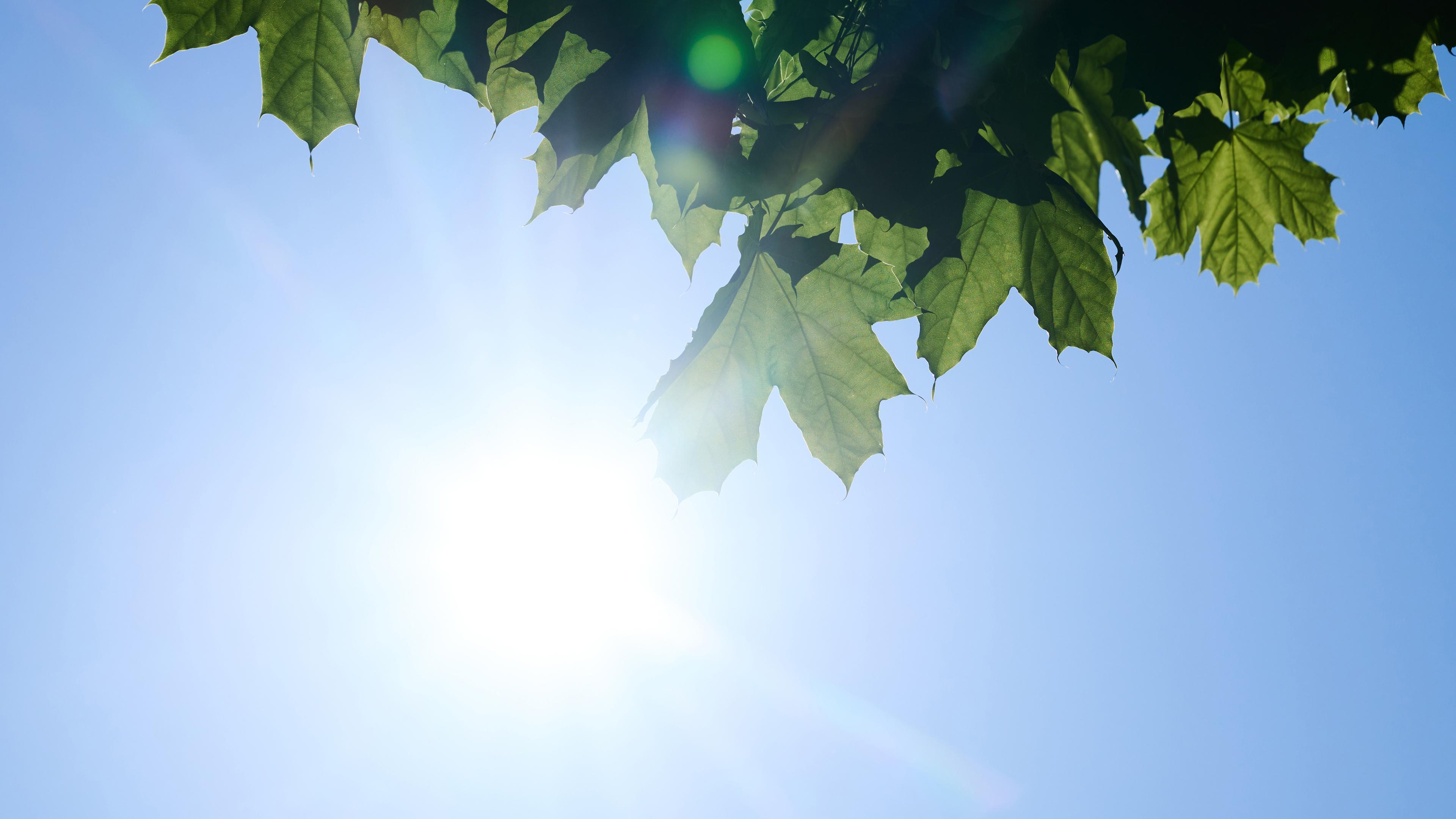 Schon am frühen Morgen scheint die Sonne von einem nahezu wolkenlosen Himmel