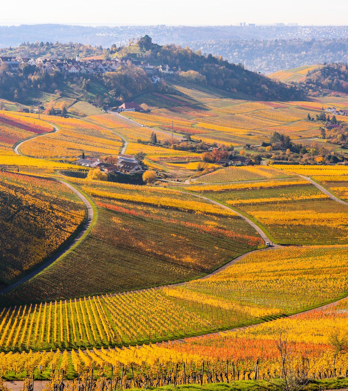 Baden-Württemberg, Fellbach: Herbstlich gefärbt sind die Weinberge rund um den Kappel- und Rotenberg.