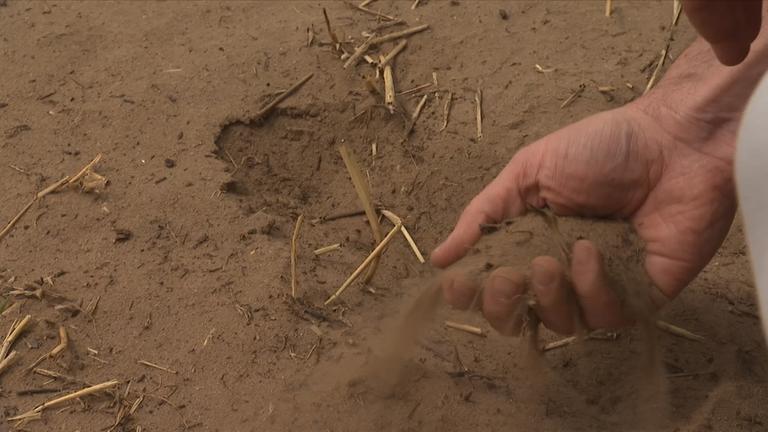 Sorgen der Landwirte wegen Dürre