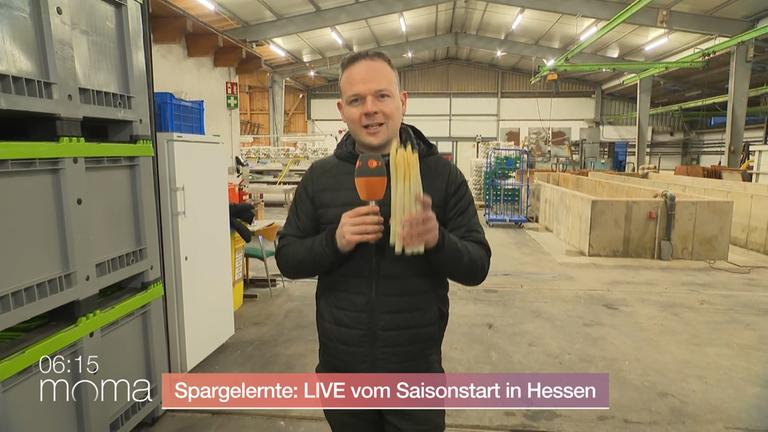 spagel-saison-ernte-