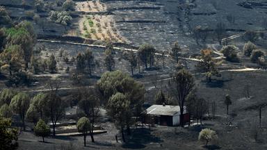 Spanien: Versengte Felder nach einem Waldbrand in El Tiemblo, 80 Kilometer westlich von Madrid.