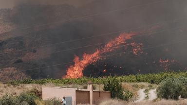 In Alfajir, in der Nähe von Almería im Südosten Spaniens, wütet ein Waldbrand.
