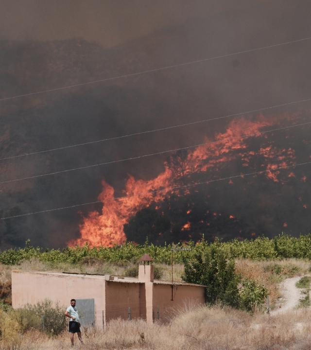 In Alfajir, in der Nähe von Almería im Südosten Spaniens, wütet ein Waldbrand.