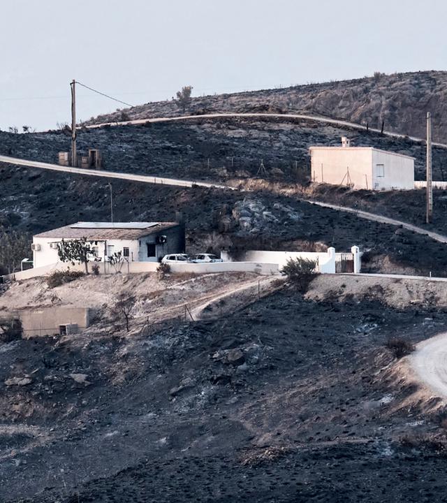Ausgebrannte Autos stehen vor einem Gebäude - das umliegende Gelände ist verbrannt.