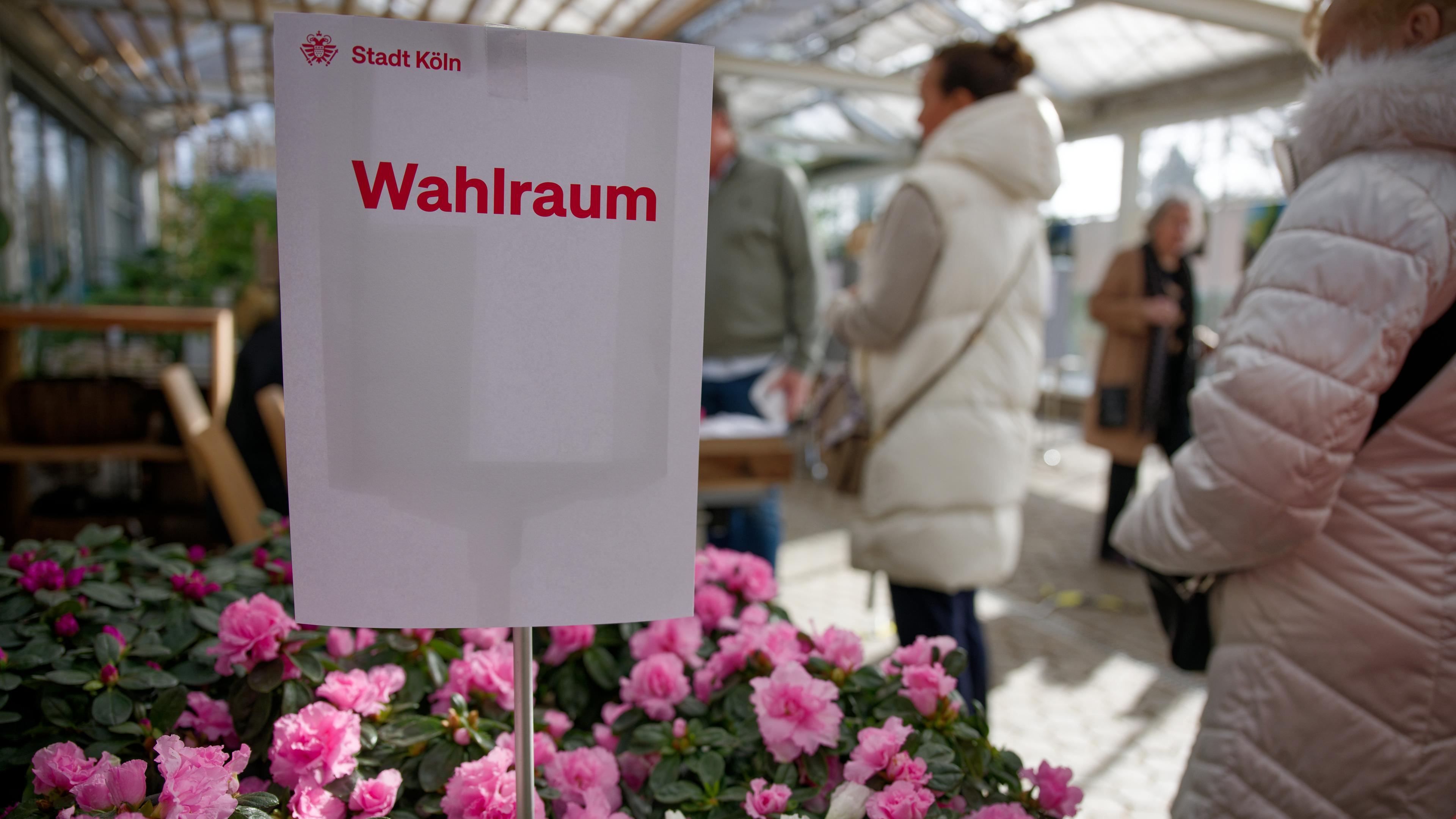 Ein Kölner Wahllokal in einem Gewächshaus eines Gartenbaubetriebs.