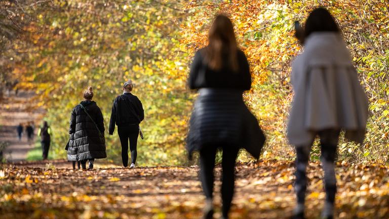 Baden-Württemberg, Stuttgart: Spaziergänger gehen bei Sonnenschein durch einen herbstlichen Wald.